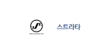 스트라타