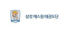 삼성 에스원 태권도단