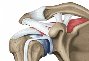서브상단이미지