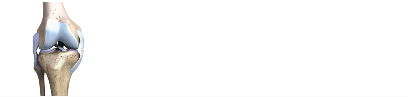 관절질환 안내 이미지 1