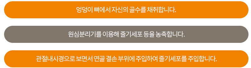 수술치료 안내 이미지 3